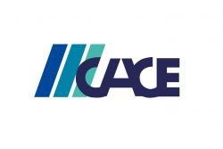 Česká asociace konzultačních inženýrů